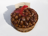 Chestnut Gift Basket - click for larger view